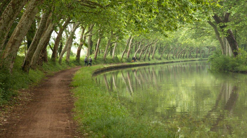 platanes canal midi toulouse 850x478